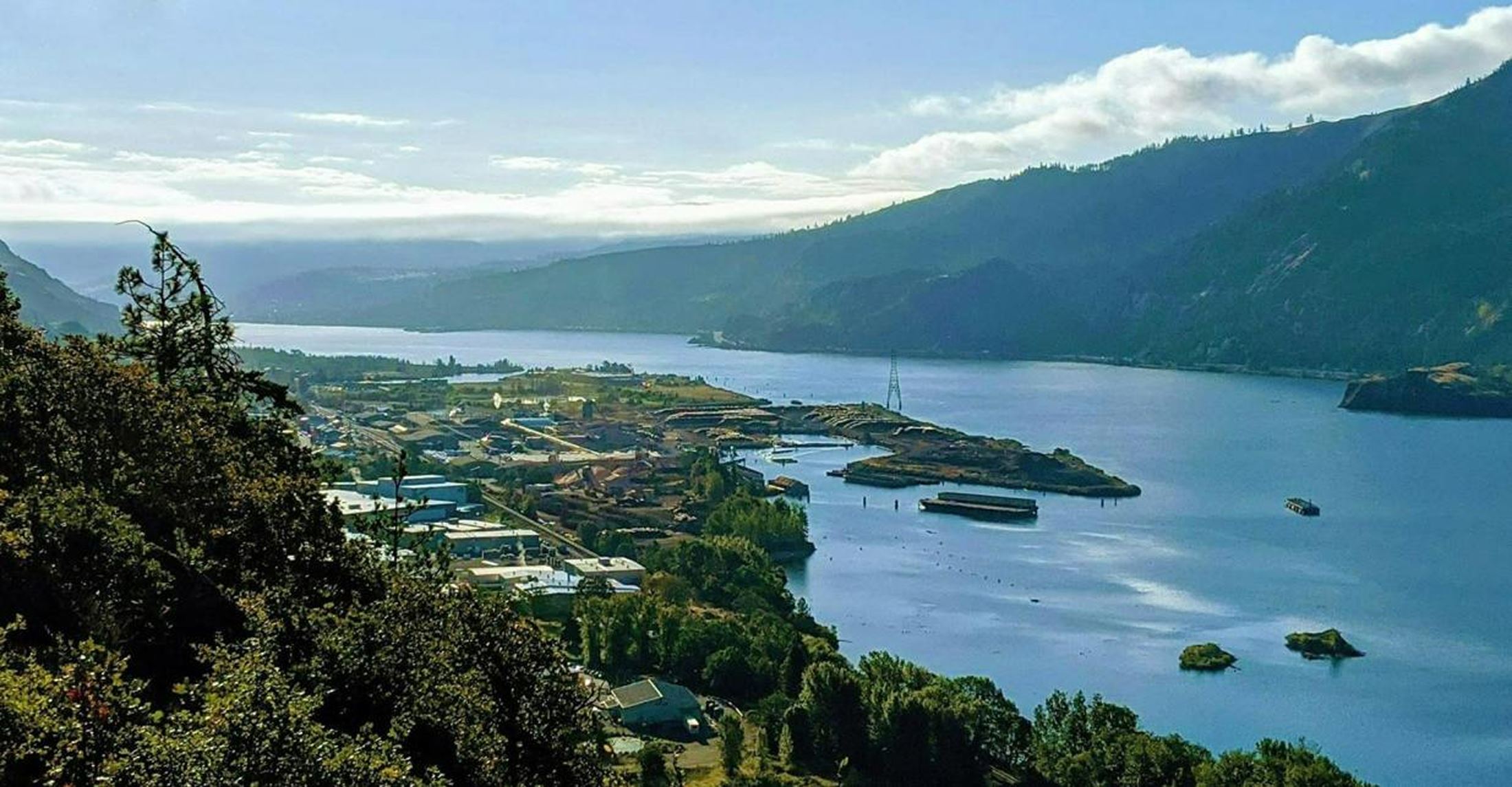 Bingen