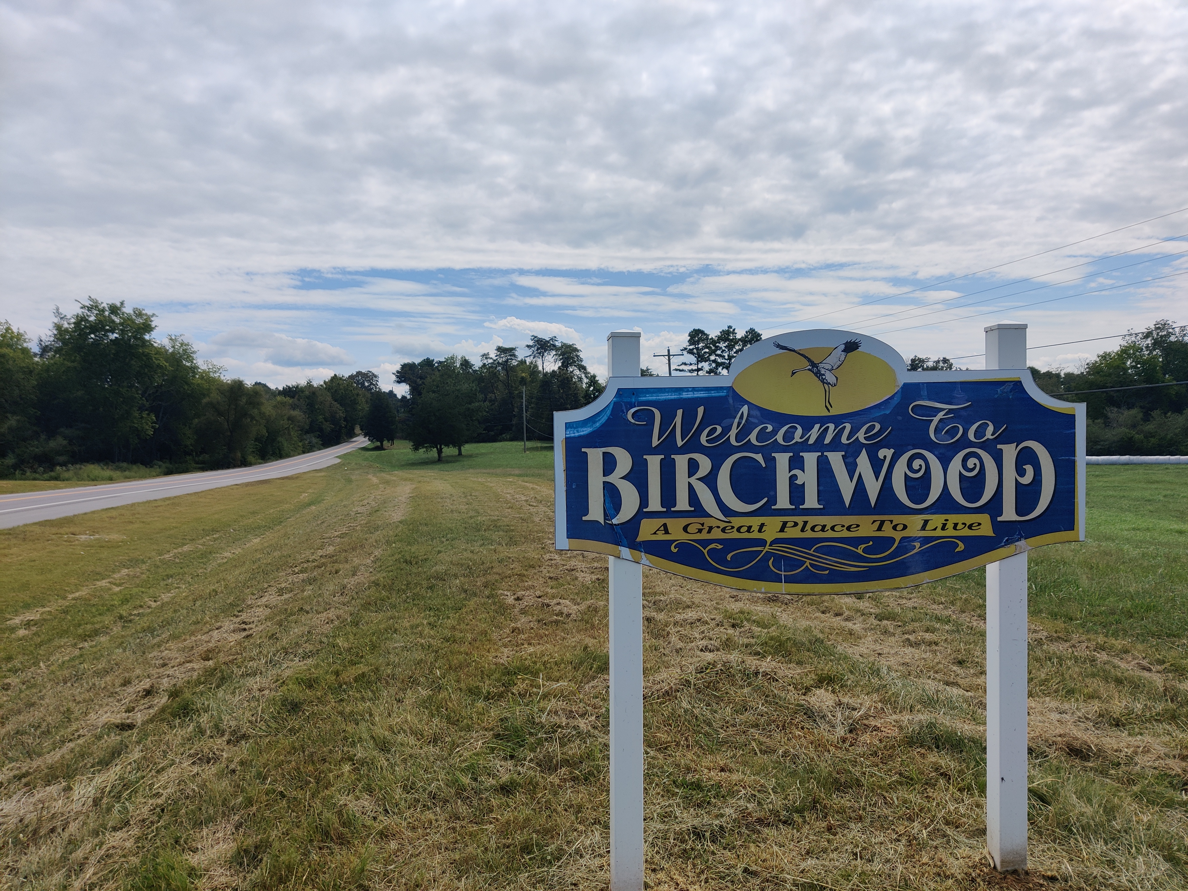 Birchwood