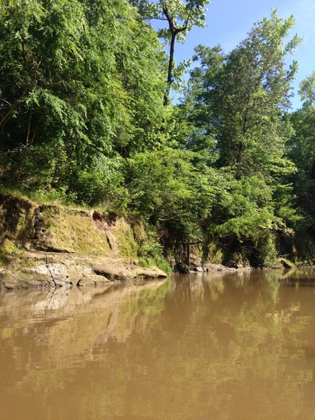 Bogue Chitto
