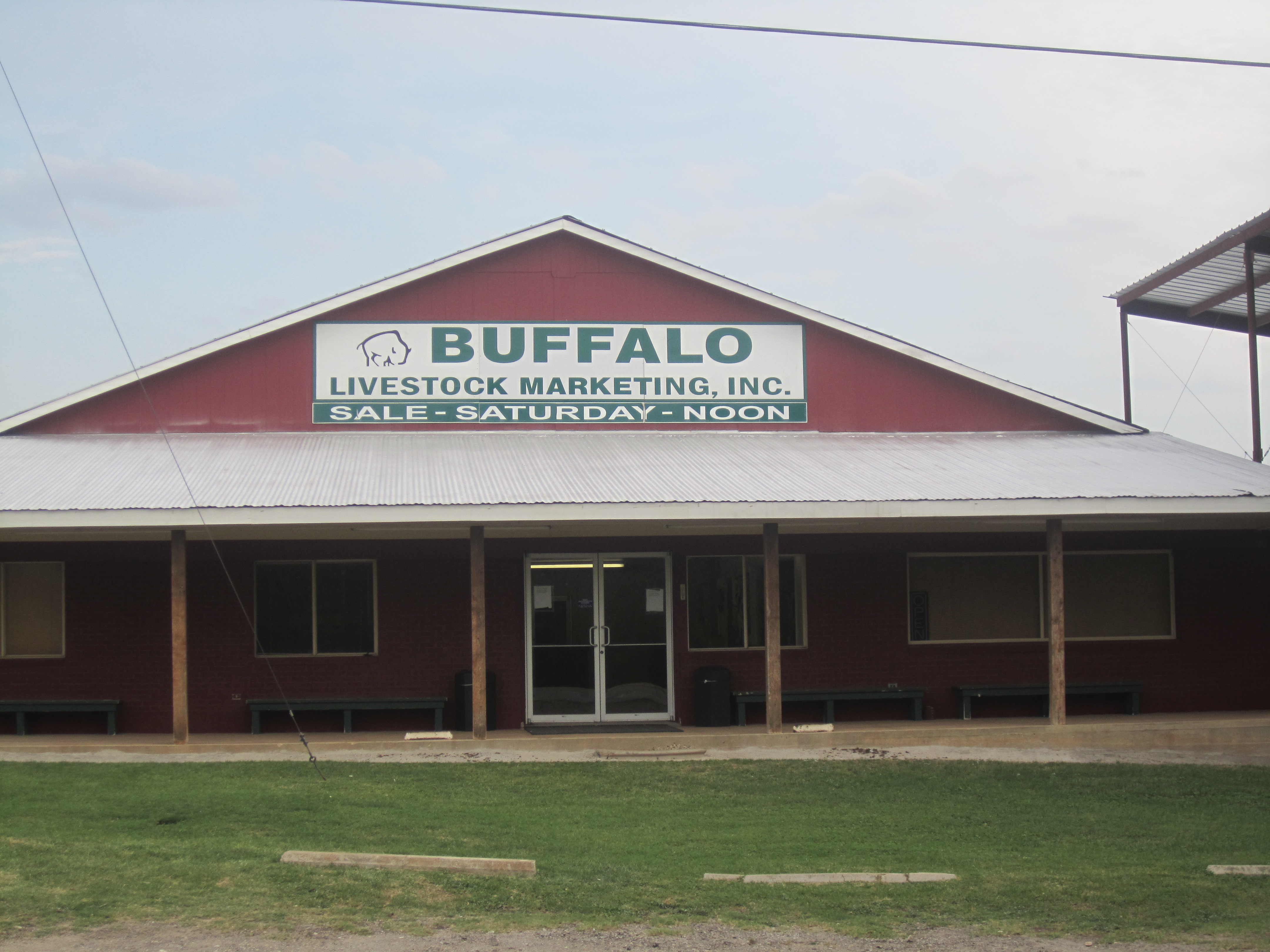 Buffalo