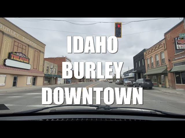 Burley