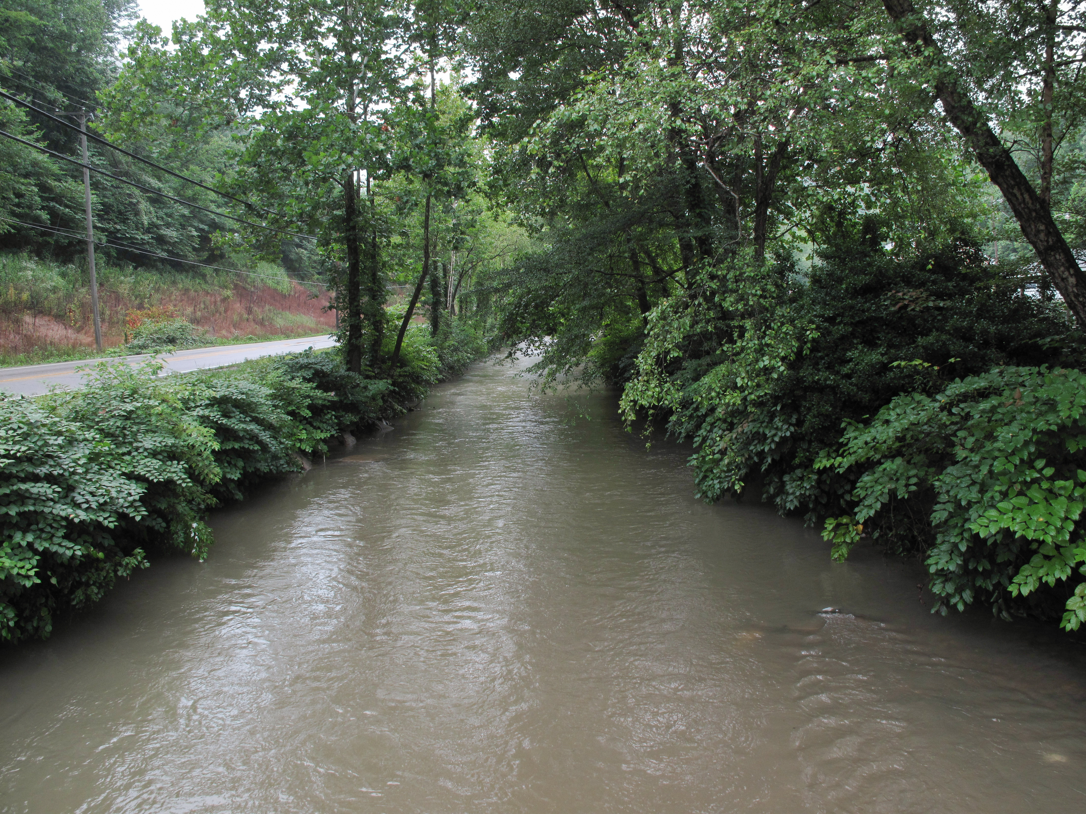 Cabin Creek