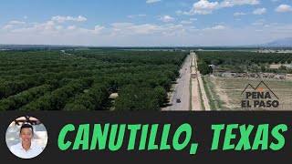Canutillo