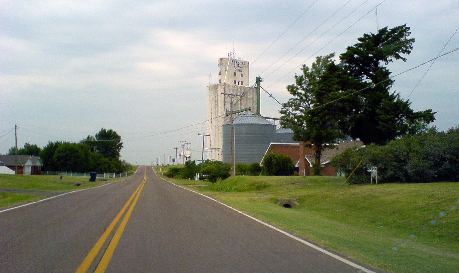 Corn