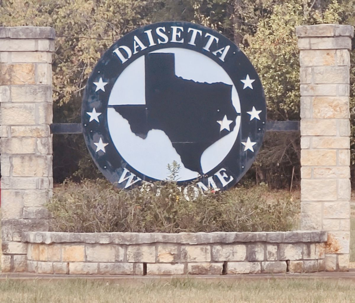 Daisetta