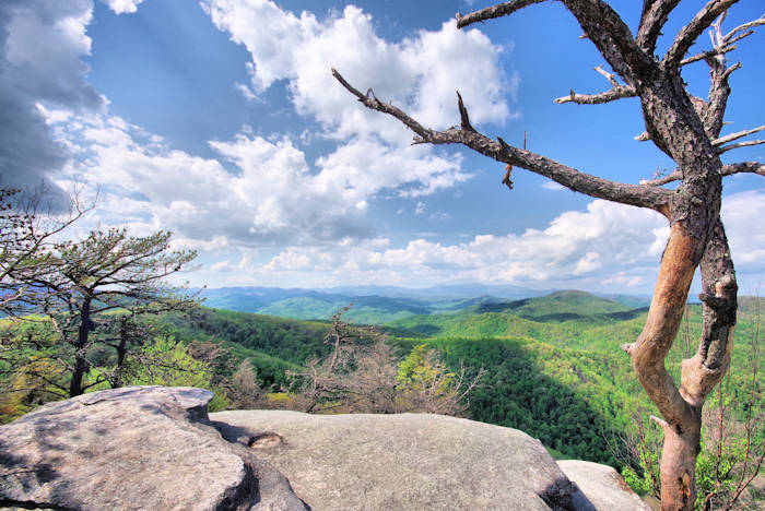 Eagle Rock