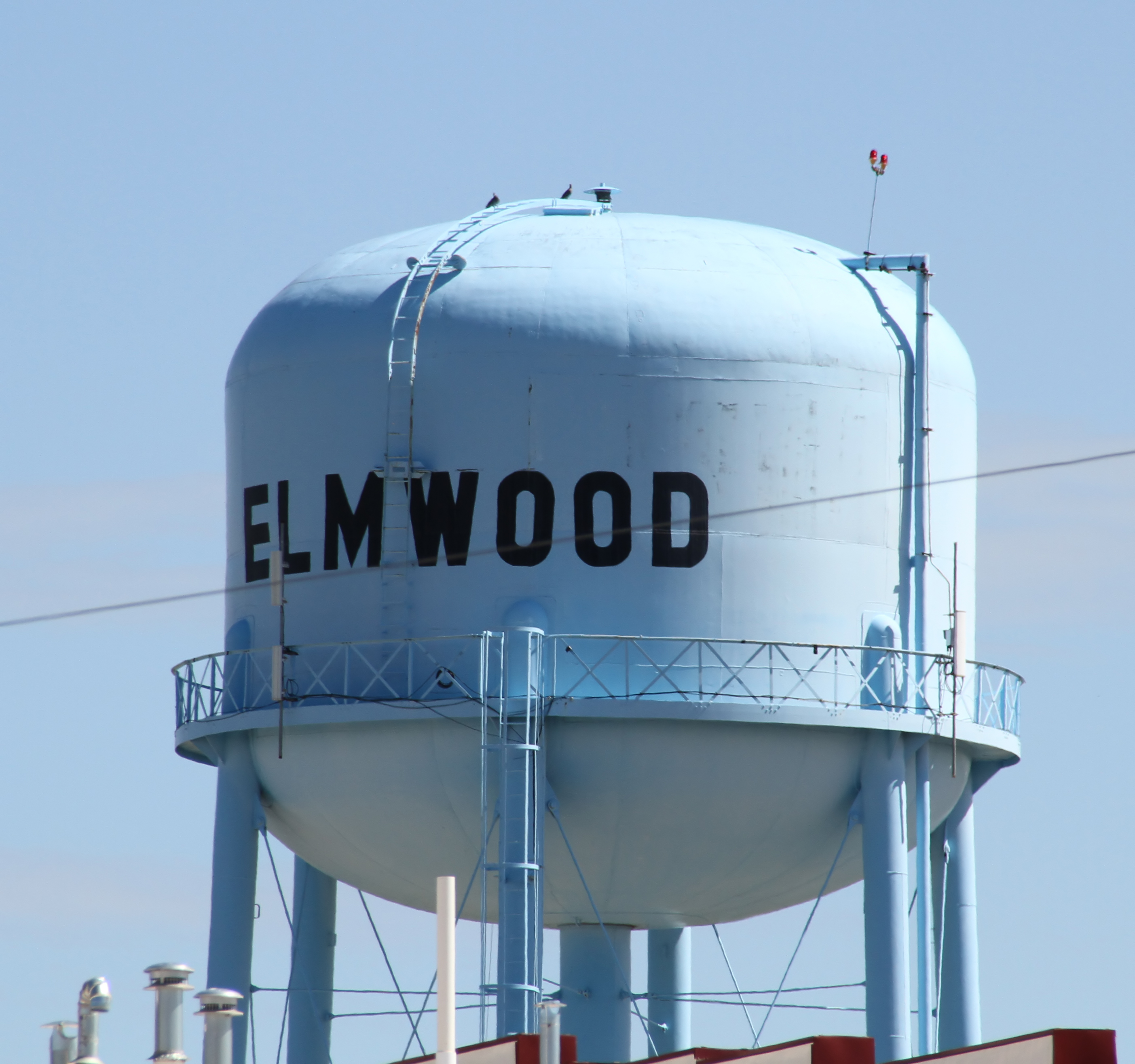 Elmwood