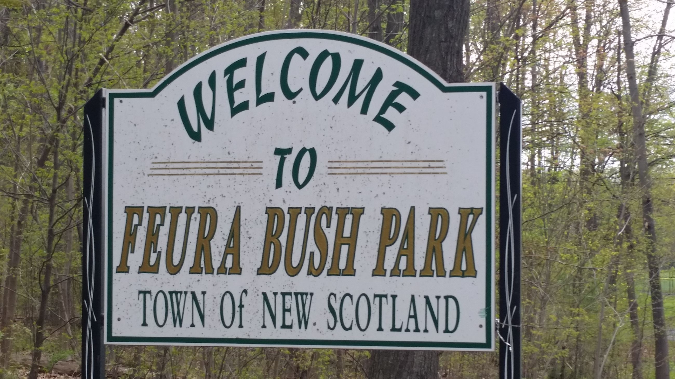 Feura Bush