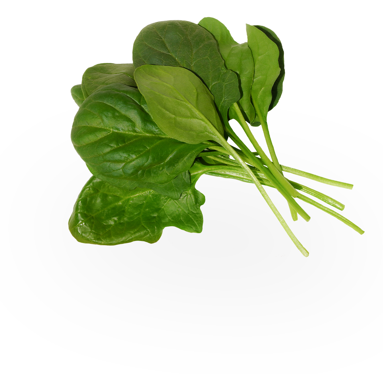 Foodiverse Espinacas product image