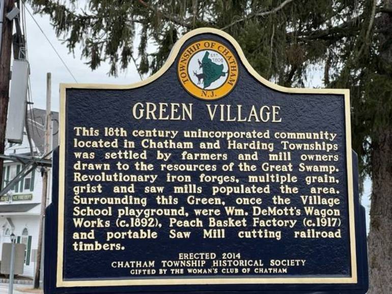 Green Village