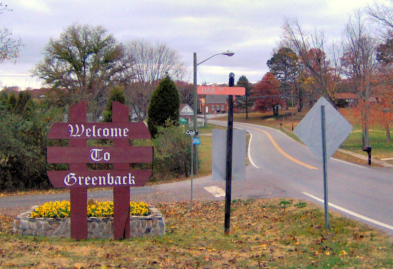 Greenback