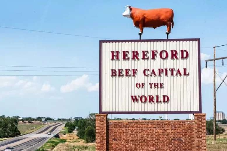 Hereford