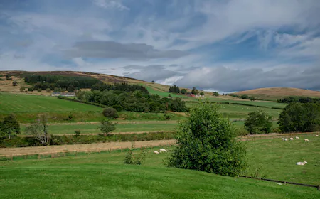 Huntly