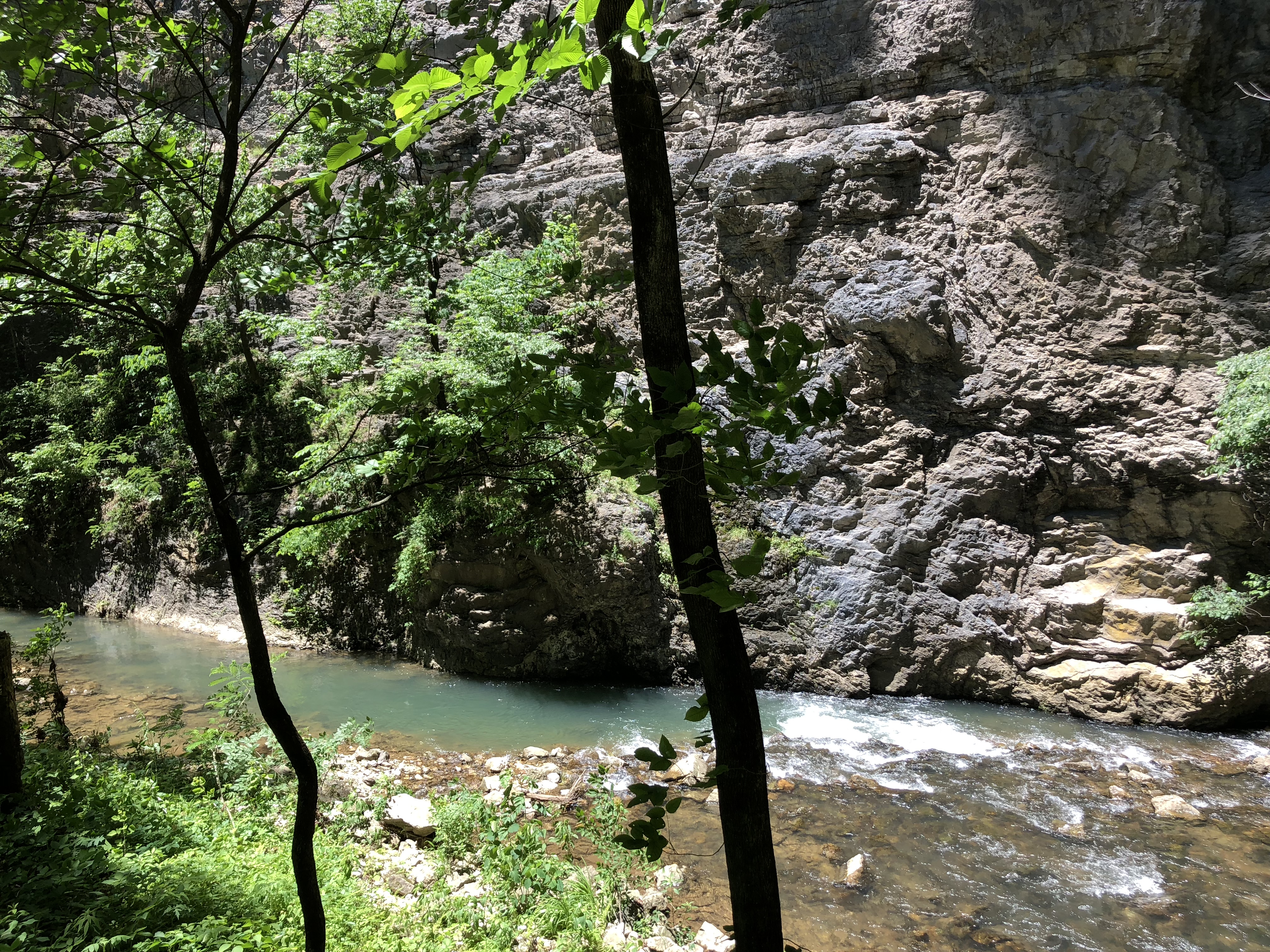 Laurel Fork