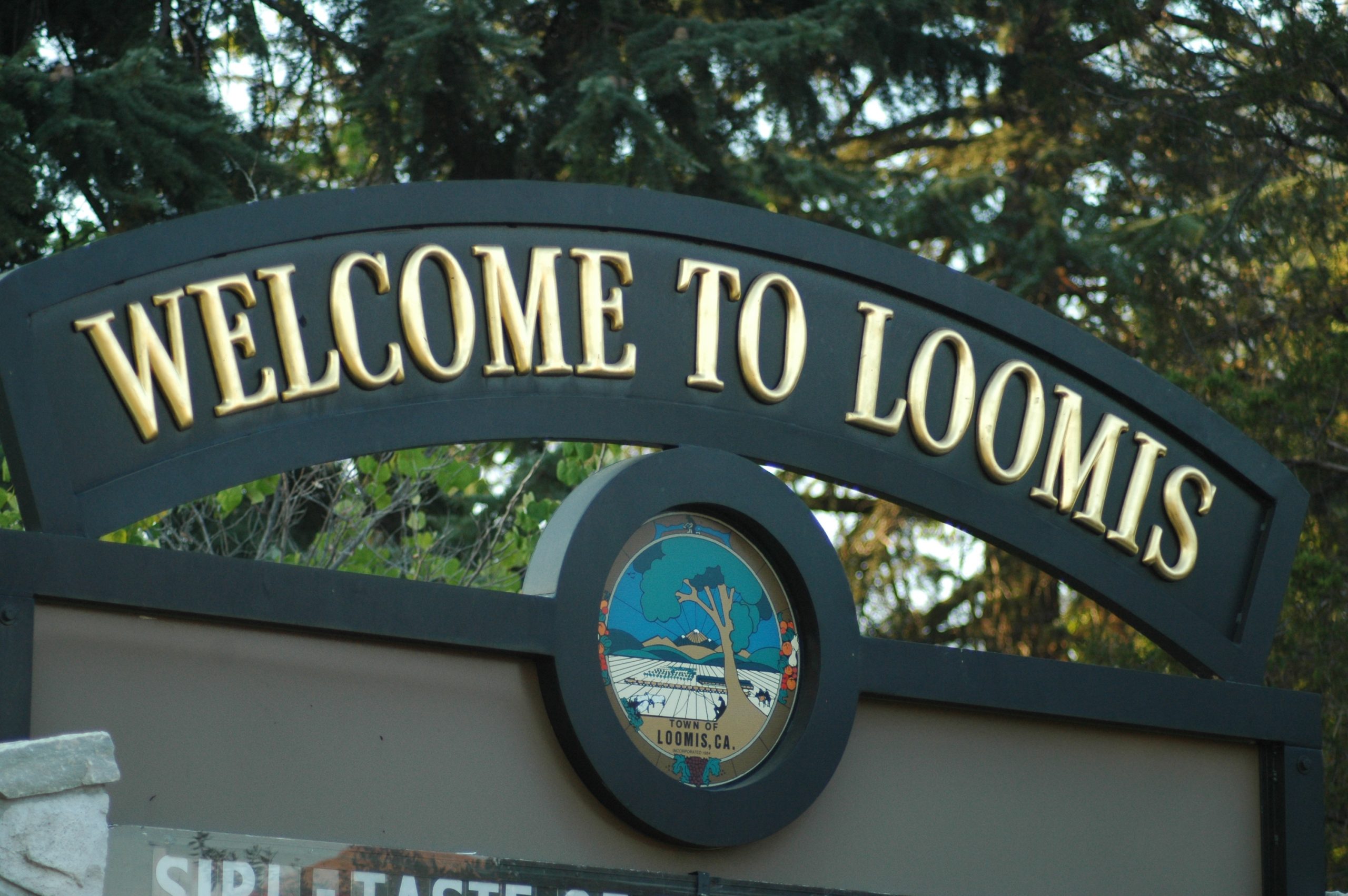 Loomis