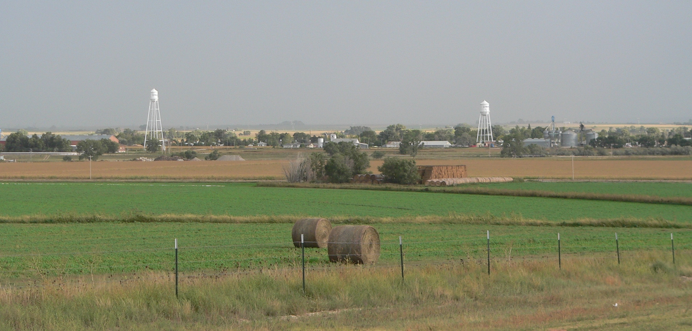 Lyman