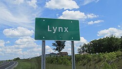 Lynx