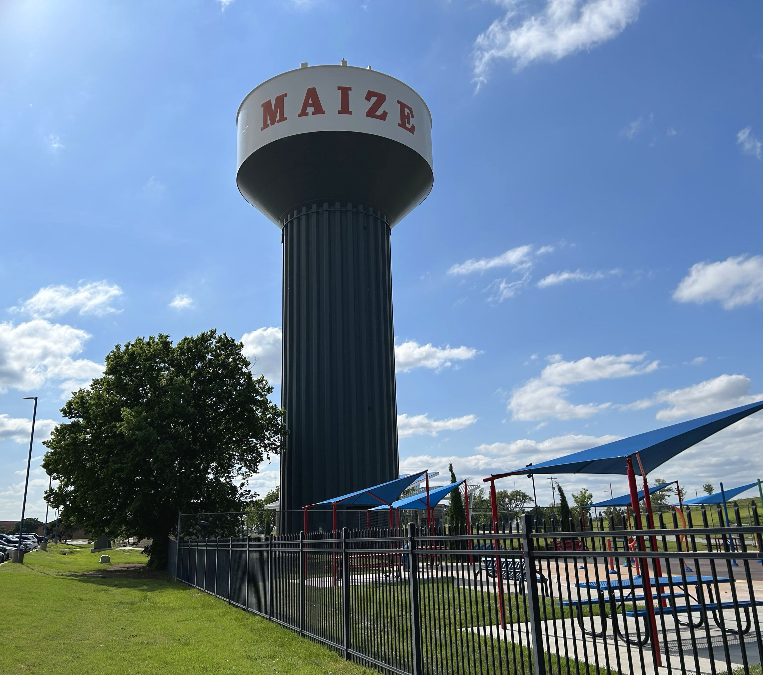 Maize