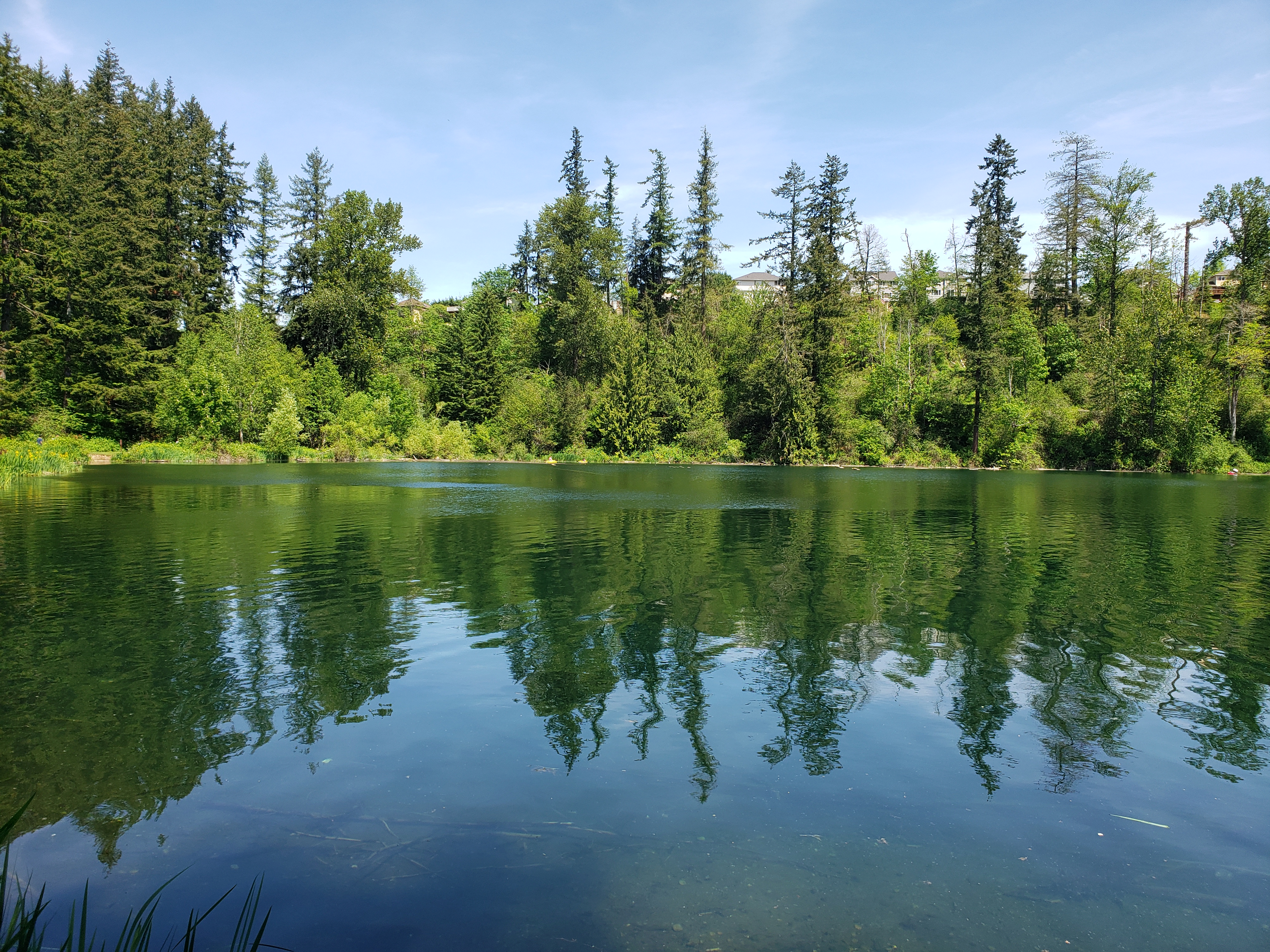 Maple Valley