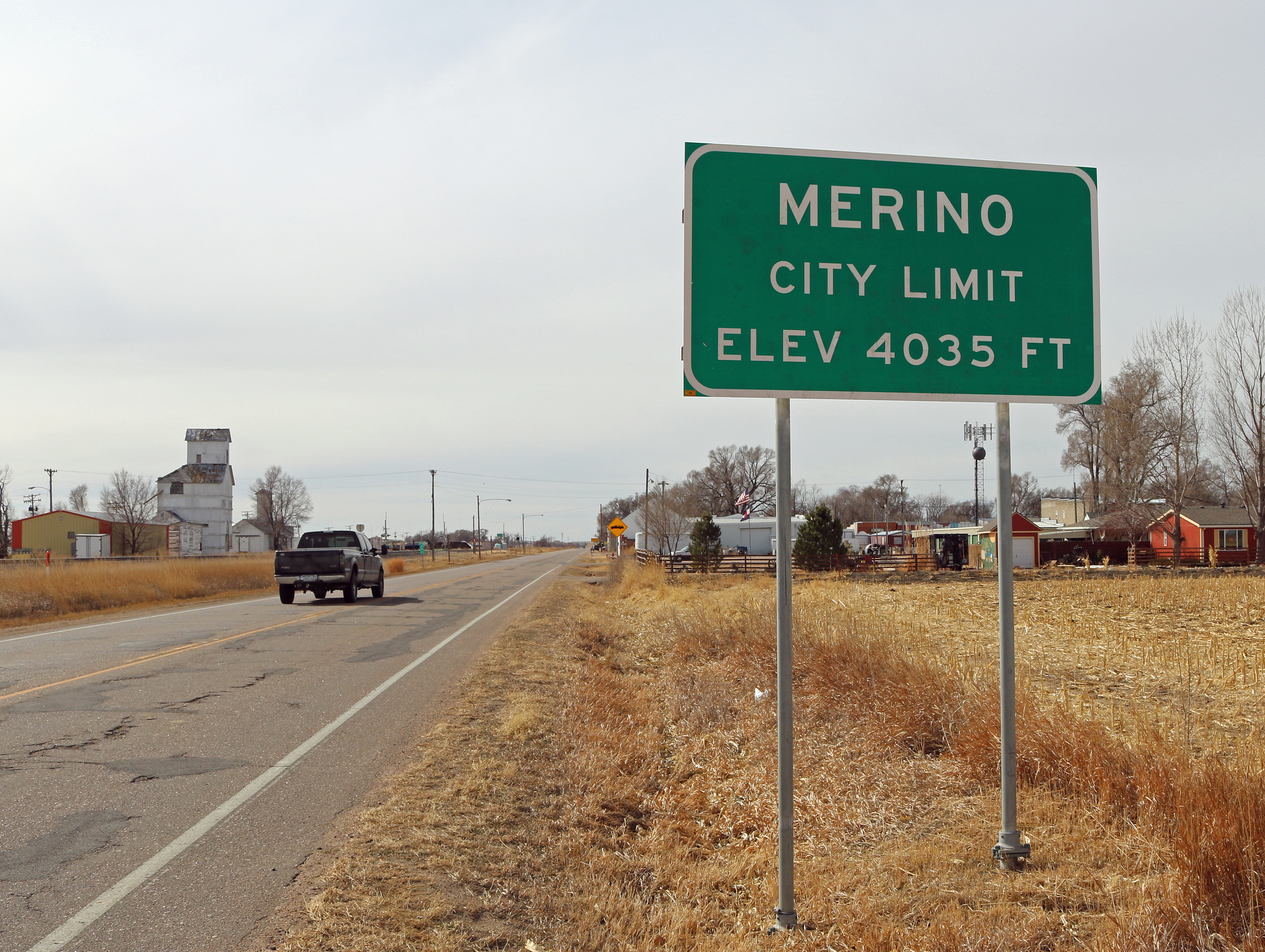 Merino