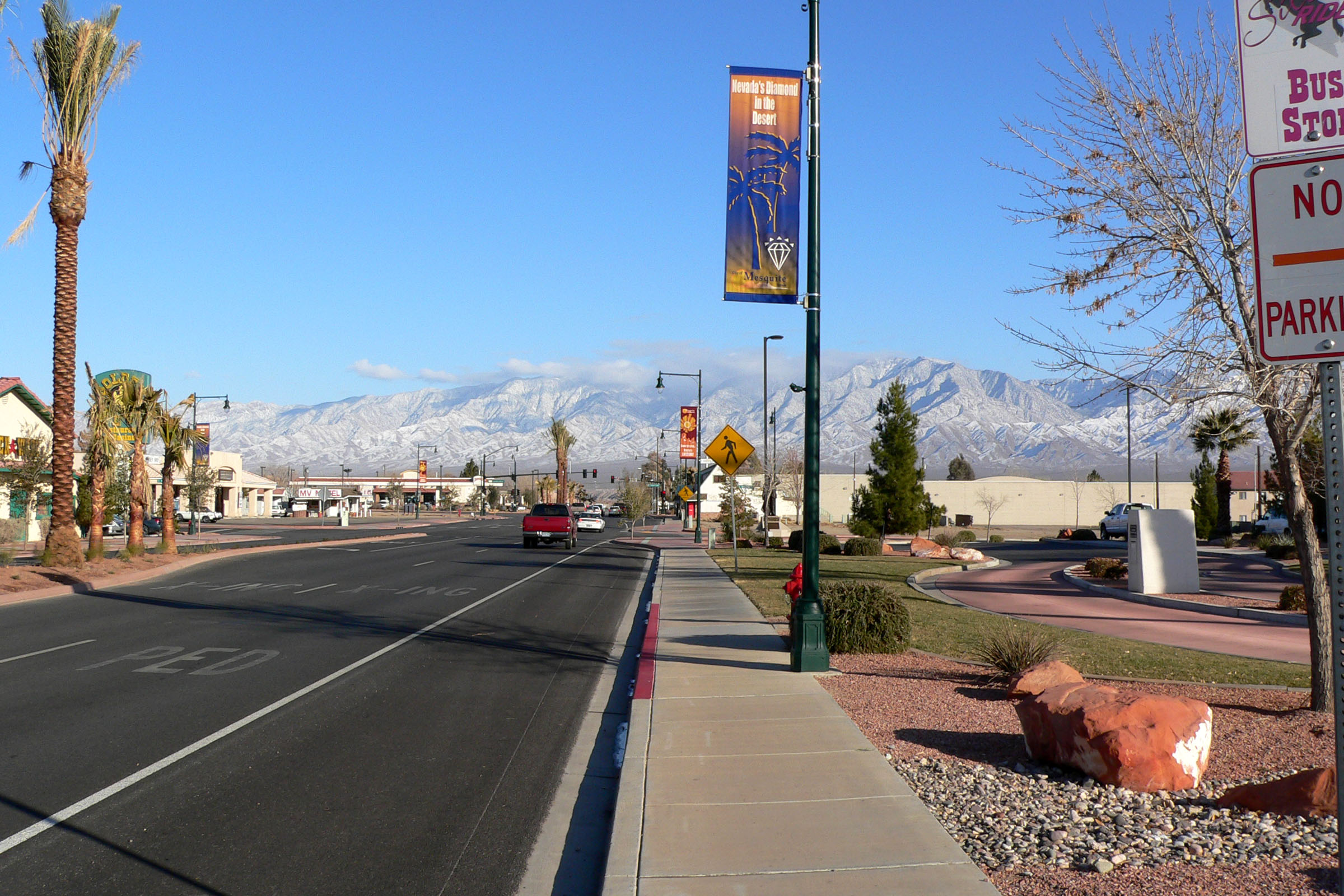 Mesquite