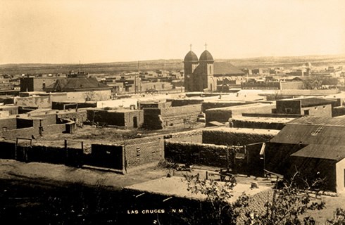 Mesquite