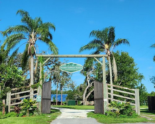 Myakka City