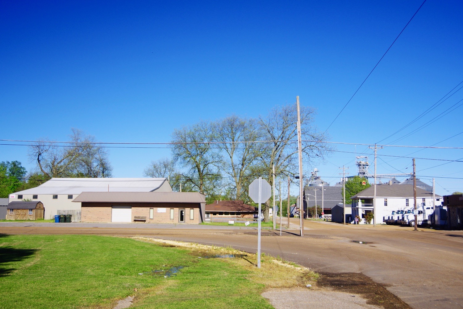 Obion