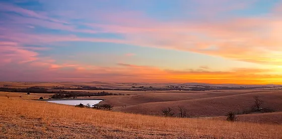 Ogden