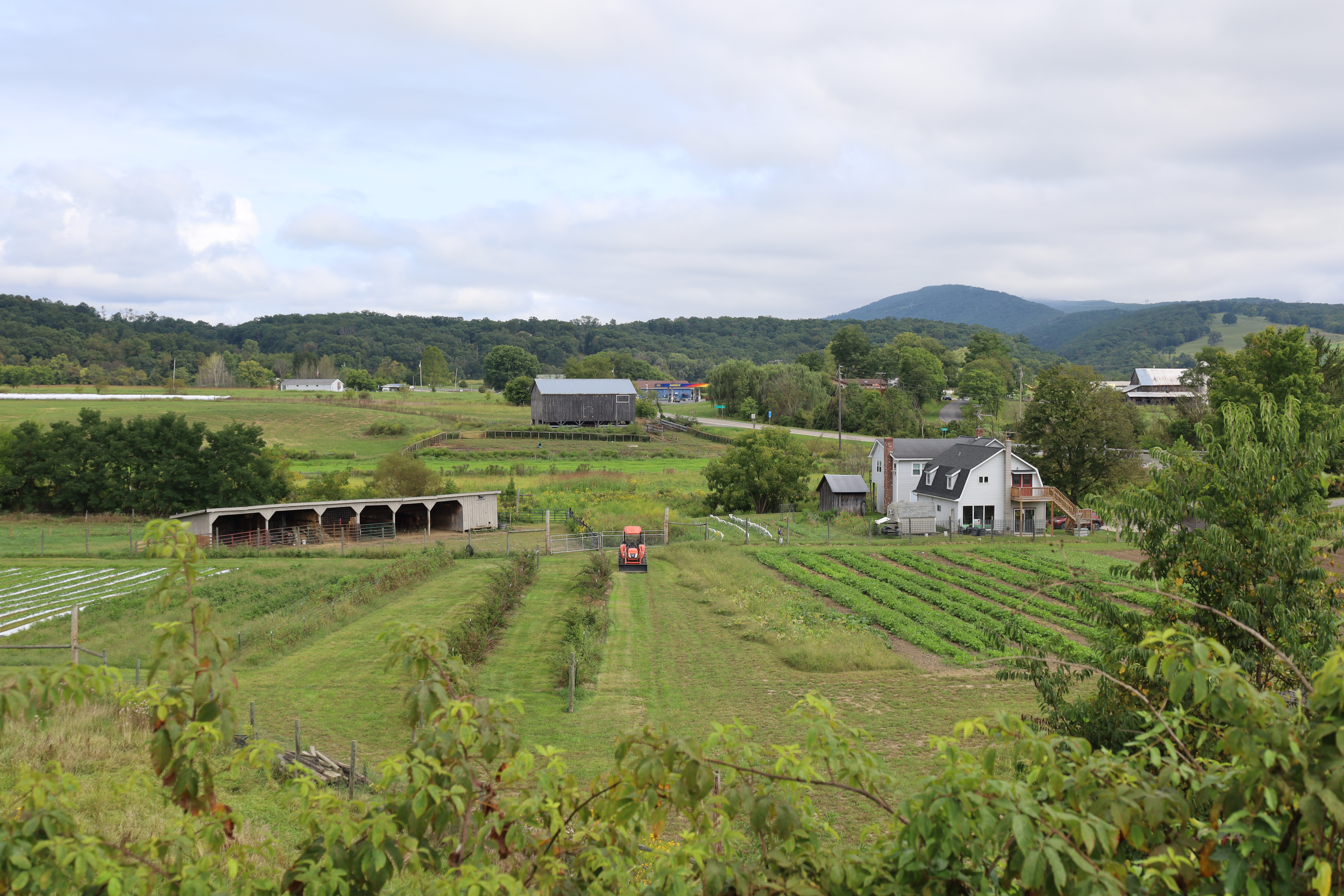 Old Fields