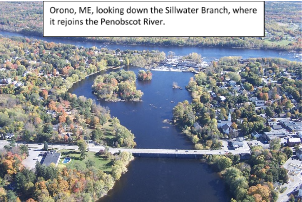 Orono