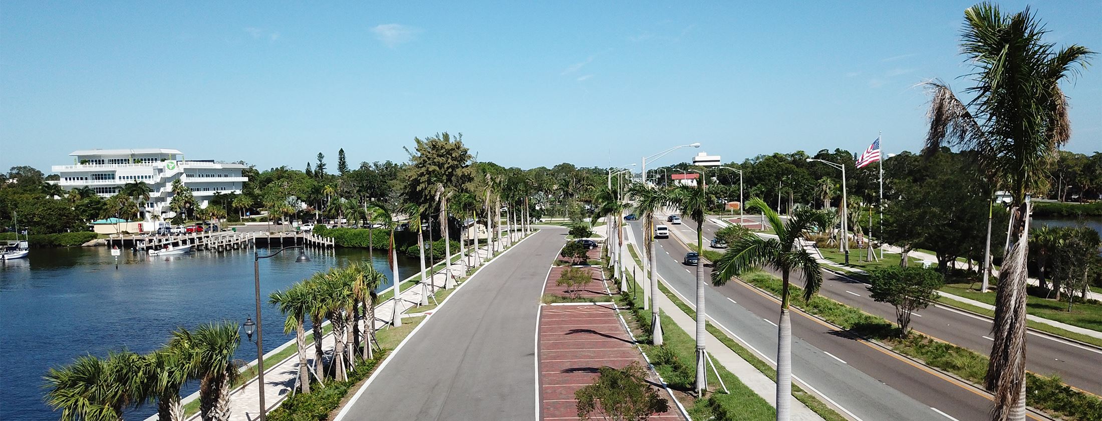 Palmetto