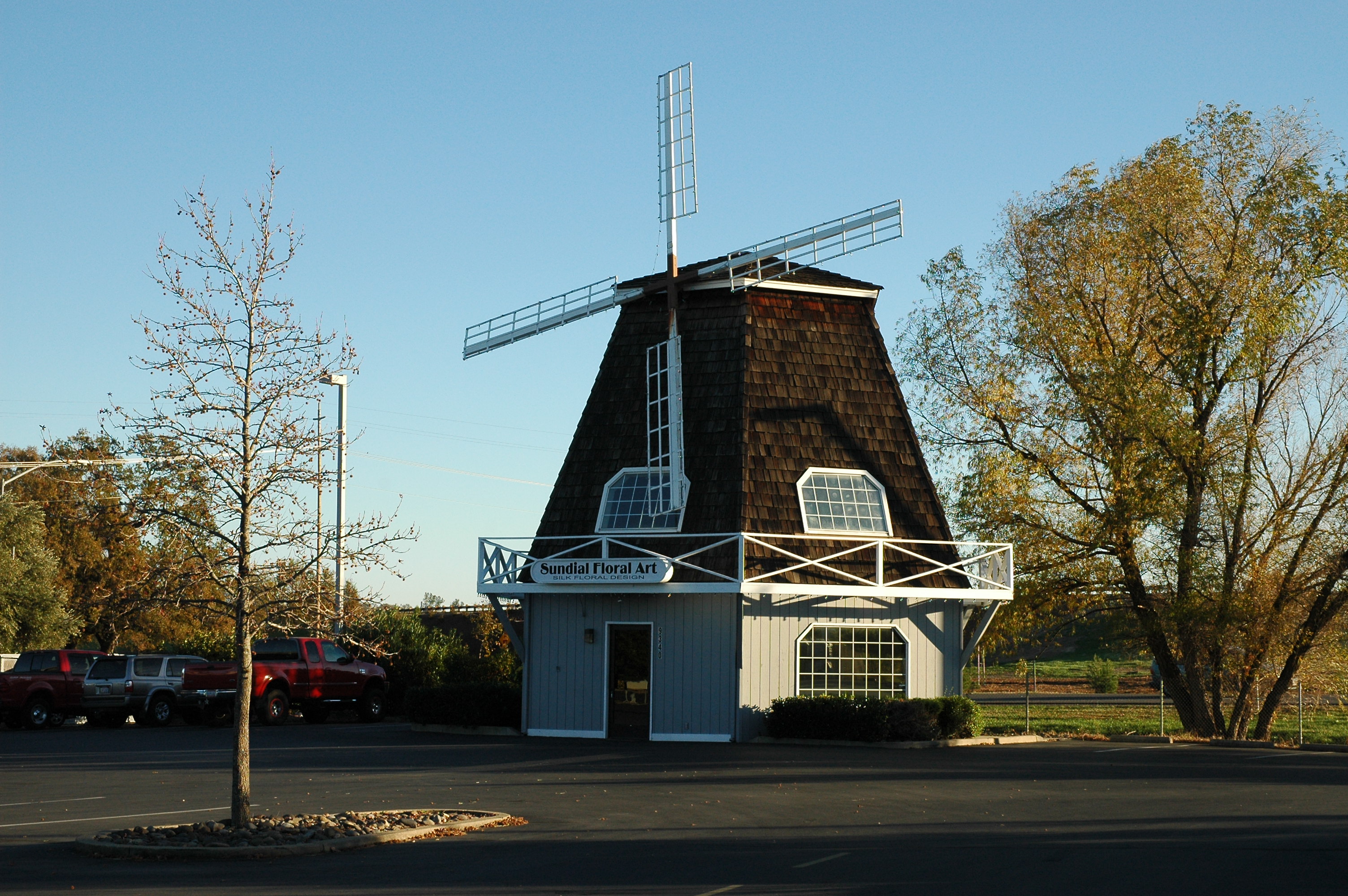 Palo Cedro