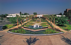 Paramount