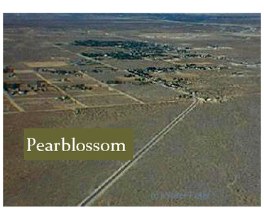 Pearblossom