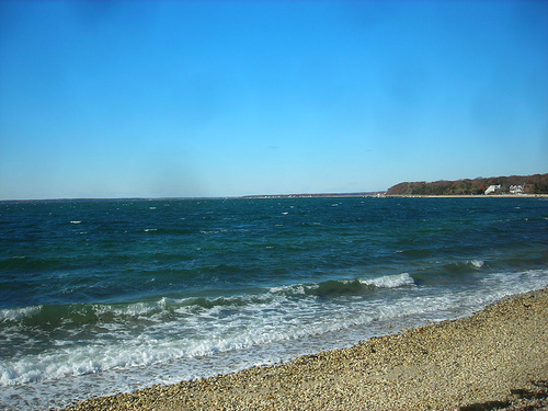 Peconic