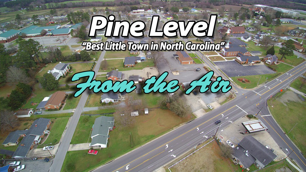 Pine Level
