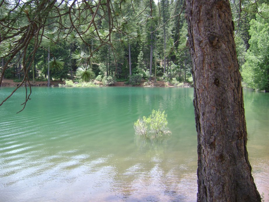 Pollock Pines