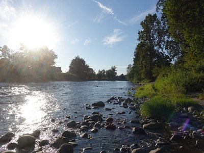Preston