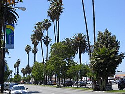 Reseda