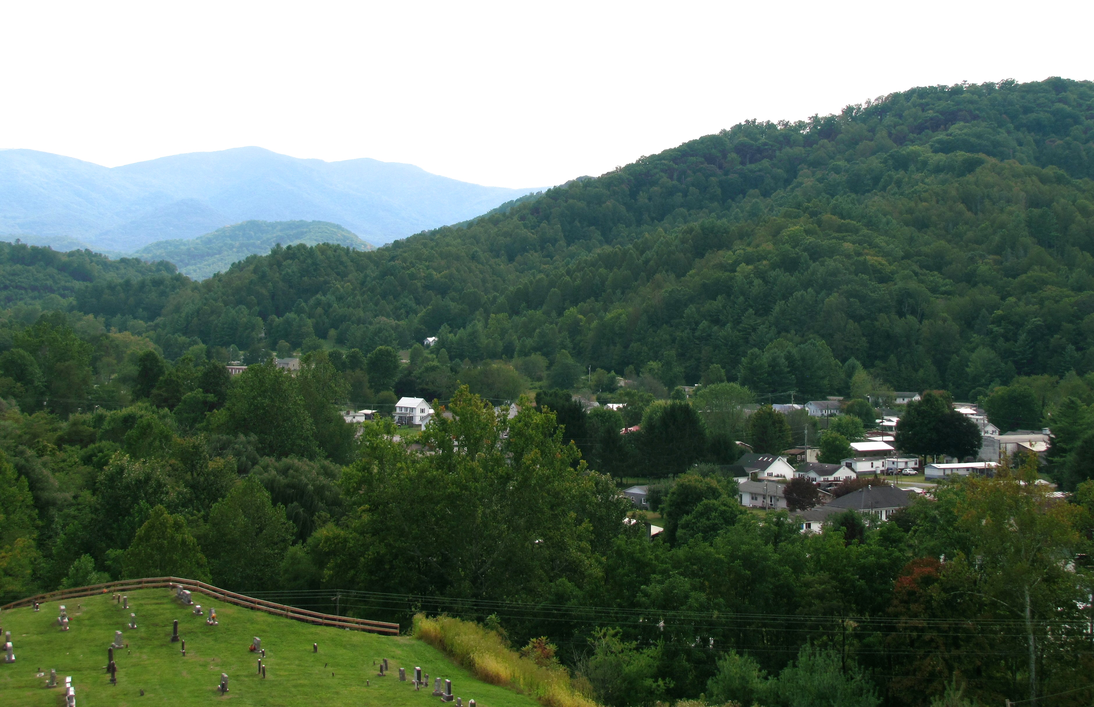 Roan Mountain