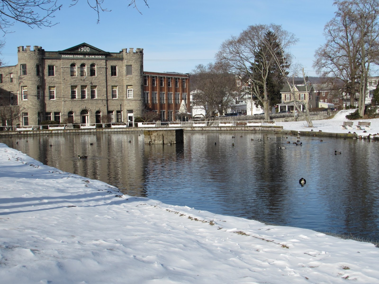 Roaring Spring