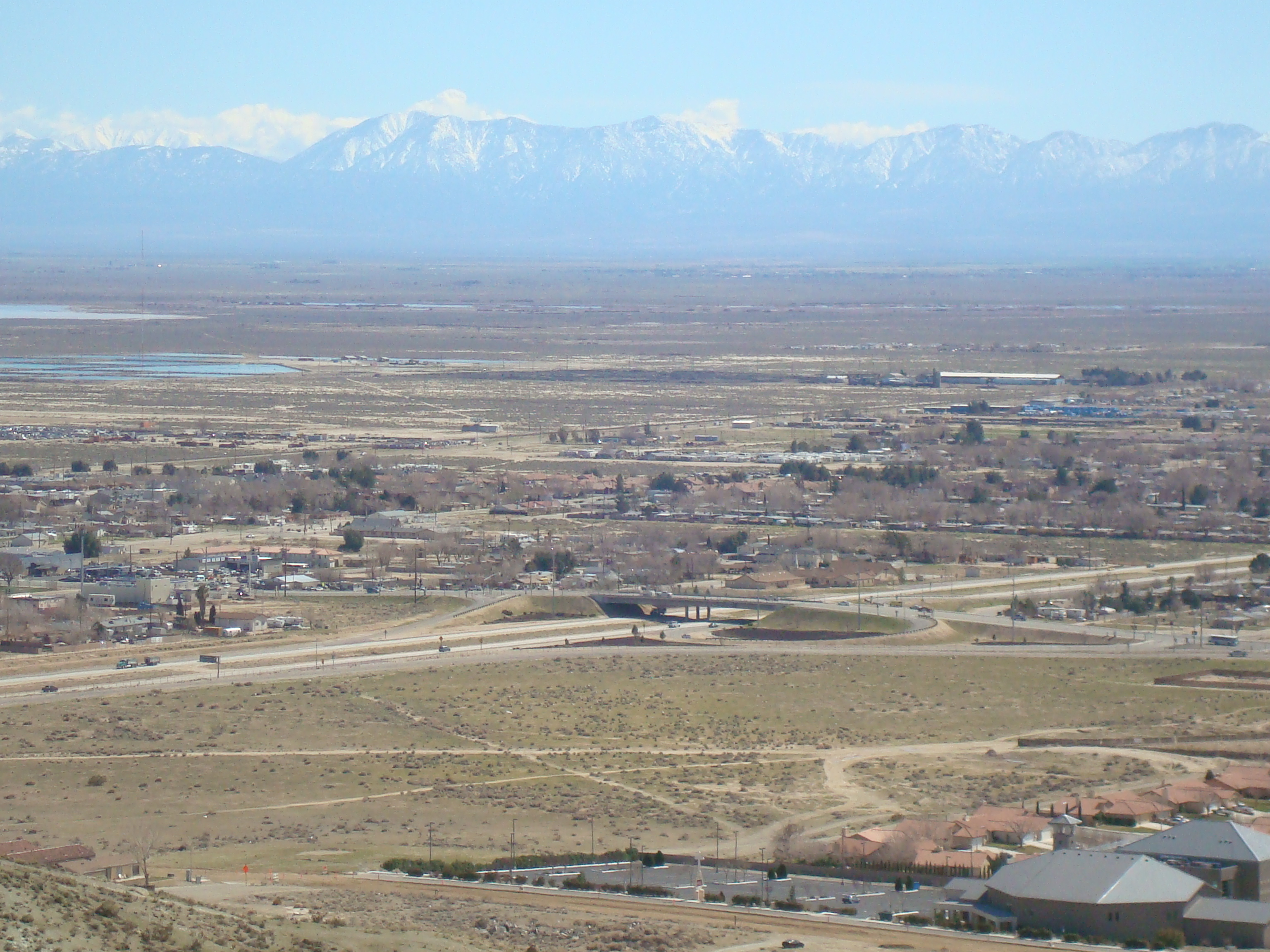 Rosamond