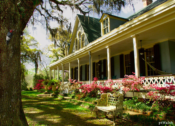 Saint Francisville