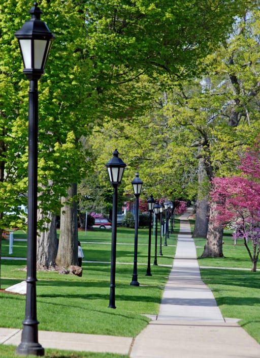 Suffield