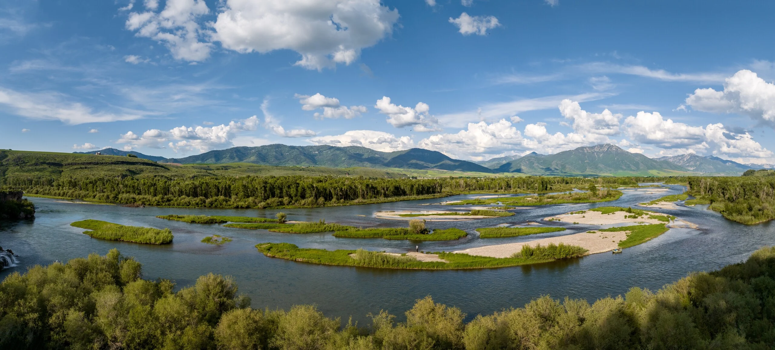 Swan Valley
