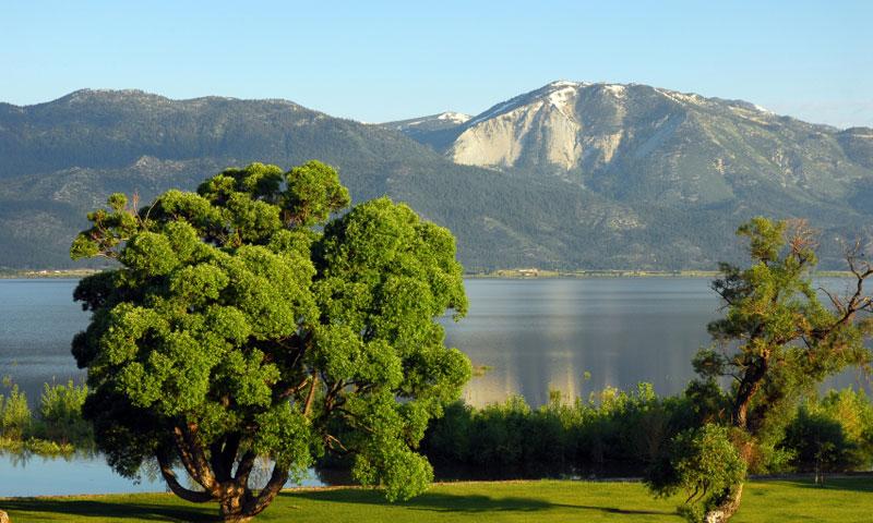 Washoe Valley