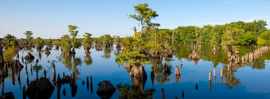 Wewahitchka