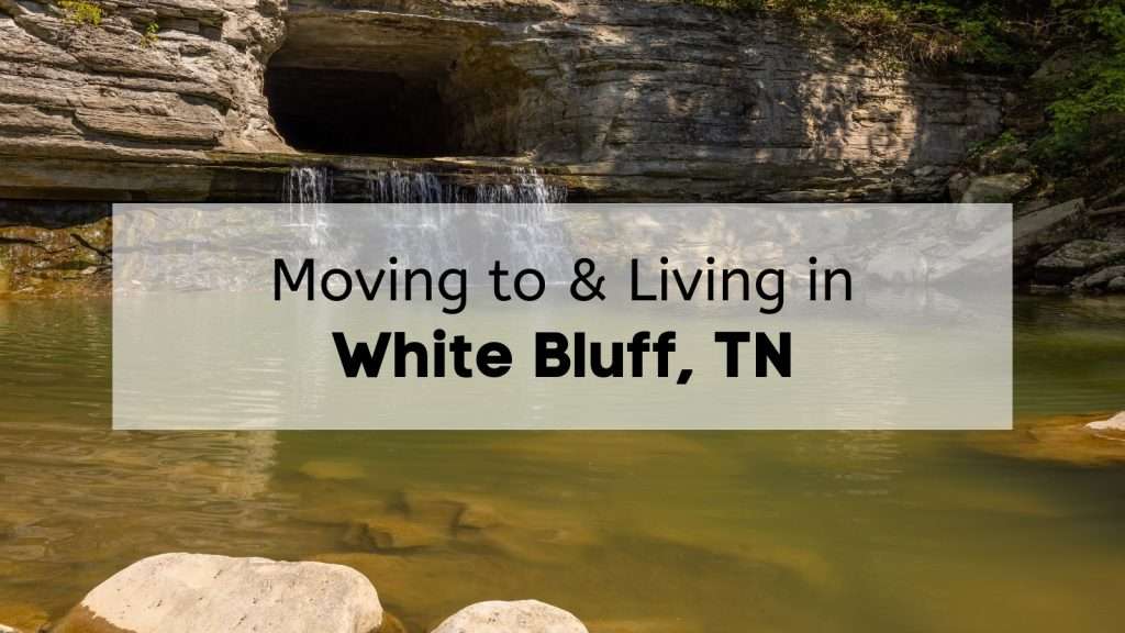 White Bluff