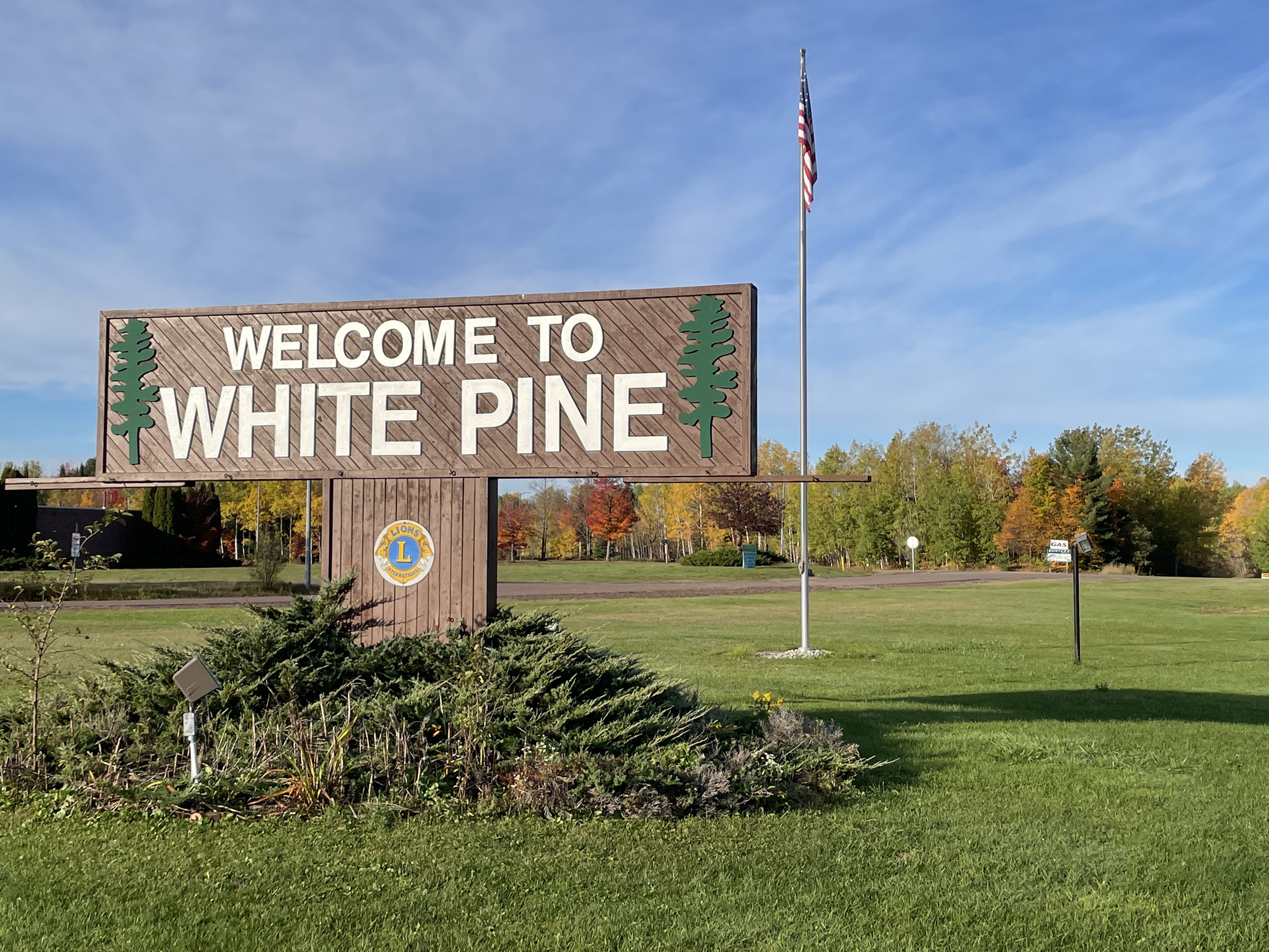White Pine